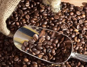 mesin sortasi kopi dengan hasil grading akurat