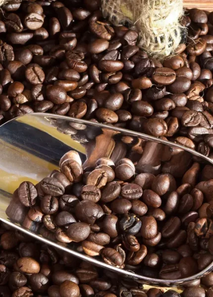 mesin sortasi kopi dengan hasil grading akurat
