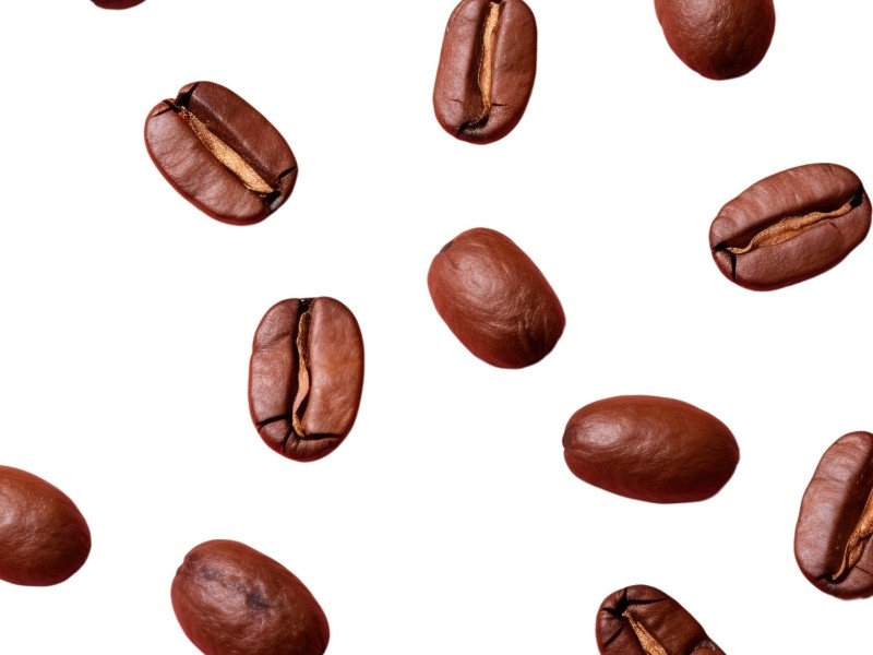 Jenis Biji Kopi Indonesia