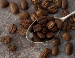 Jenis Biji Kopi Indonesia