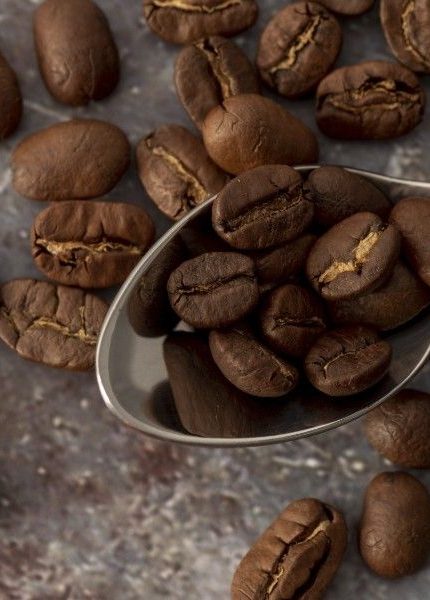 Jenis Biji Kopi Indonesia