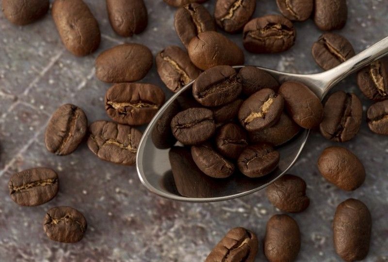 Jenis Biji Kopi Indonesia