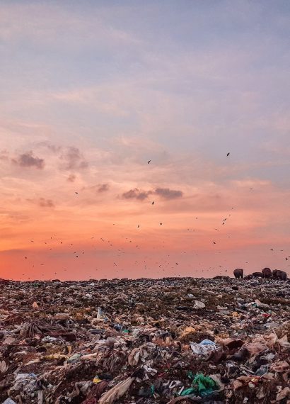 cara memulai usaha pengolahan plastik