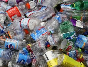 pot gantung botol plastik