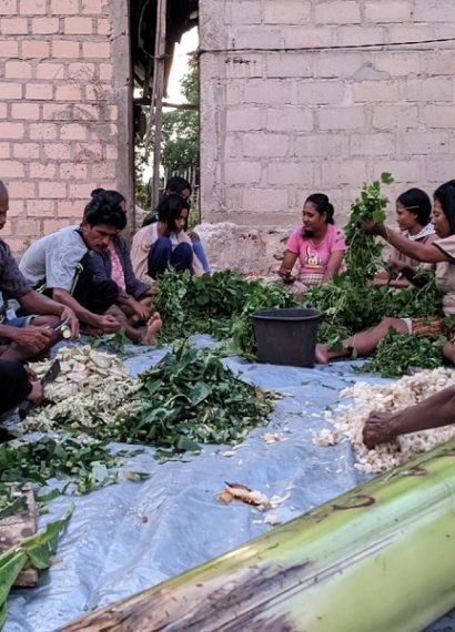 cara buat pakan kambing fermentasi alami