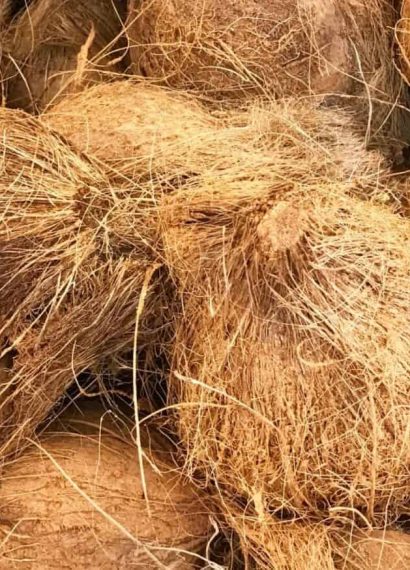 Sabut Kelapa sebagai Alternatif Bahan Sintetis
