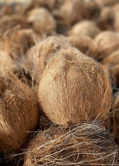 Potensi Sabut Kelapa sebagai Bahan Alami