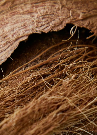 Revolusi Bahan Alami melalui Sabut Kelapa