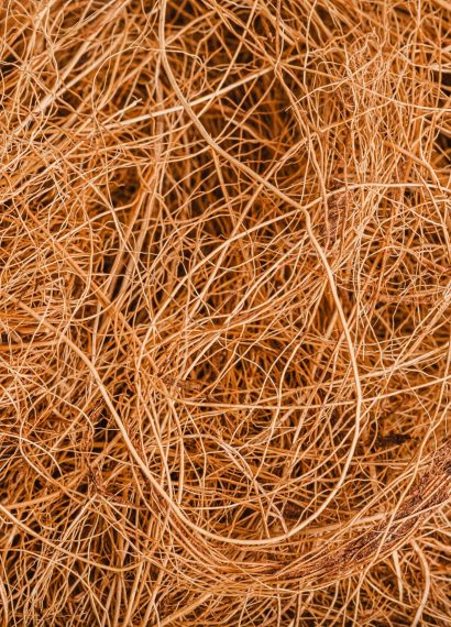 Pemanfaatan Sabut Kelapa untuk Bahan Pengganti Plastik