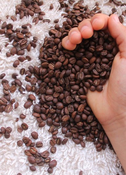 cara menggiling biji kopi