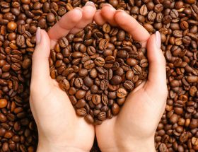 tips menyangrai kopi