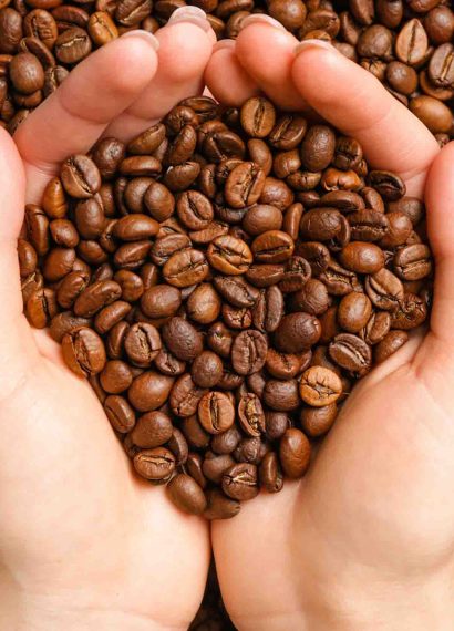 tips menyangrai kopi