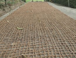 cocomesh jaring biodegradable