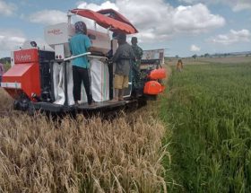 Cara Meningkatkan Produktivitas Petani