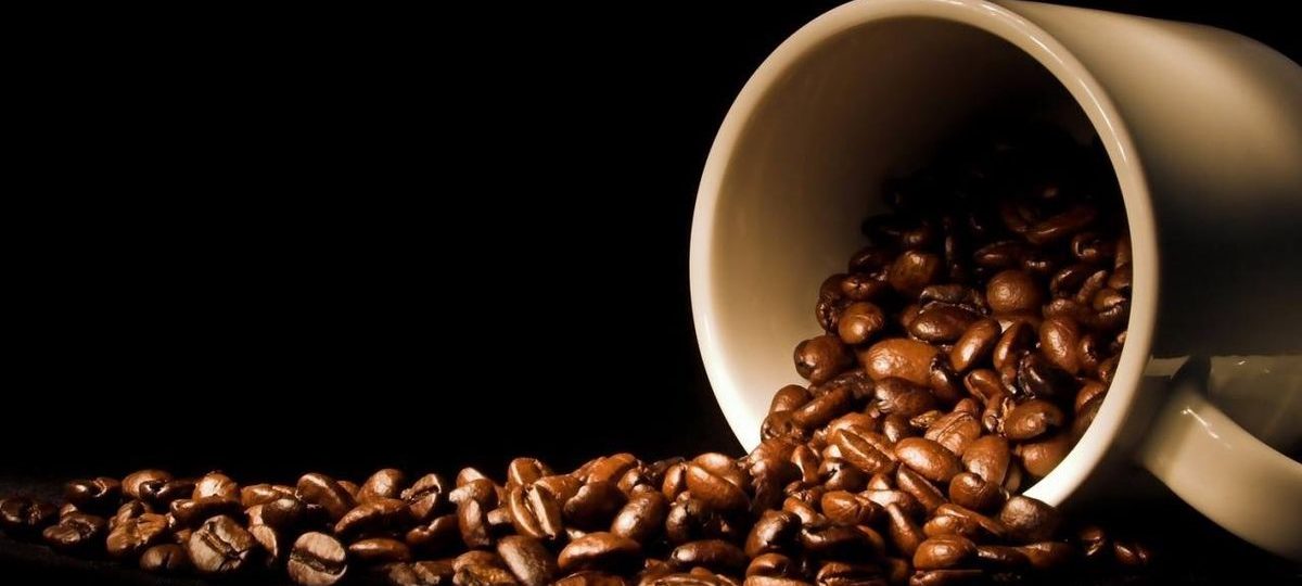 Teknik Pengolahan Biji Kopi