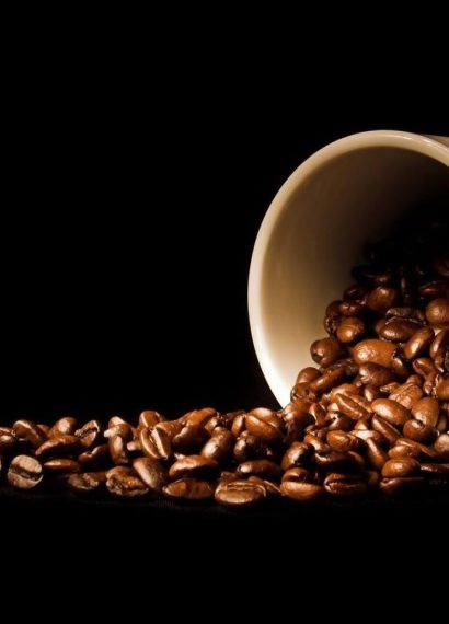 Teknik Pengolahan Biji Kopi