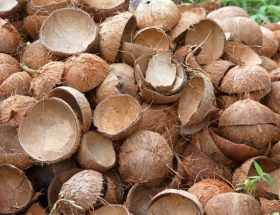 Usaha produk asap cair