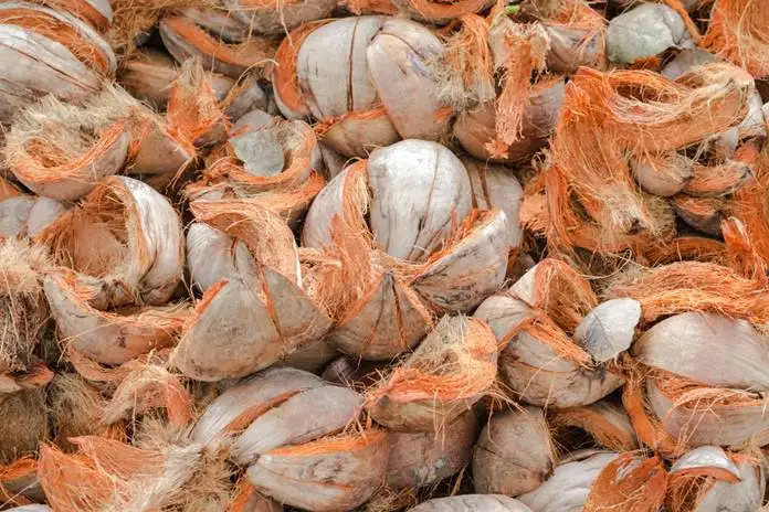 Peluang Usaha Sabut Kelapa