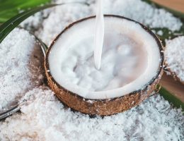 peluang usaha pengolahan santan