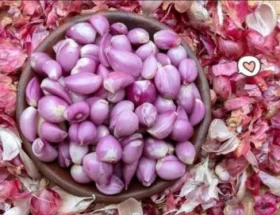 Keunggulan Mesin Pemotong Bawang Modern Untuk Efisiensi