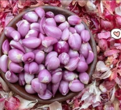 Keunggulan Mesin Pemotong Bawang Modern Untuk Efisiensi