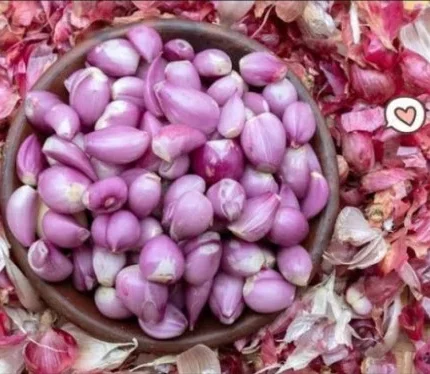 Keunggulan Mesin Pemotong Bawang Modern Untuk Efisiensi