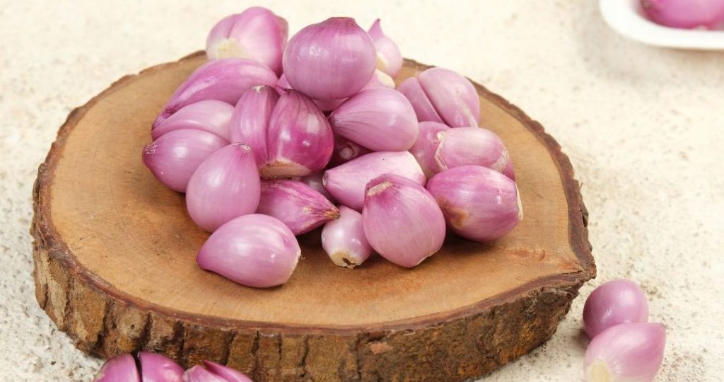 Keuntungan Pakai Mesin Iris Bawang Untuk Kerja Lebih Cepat