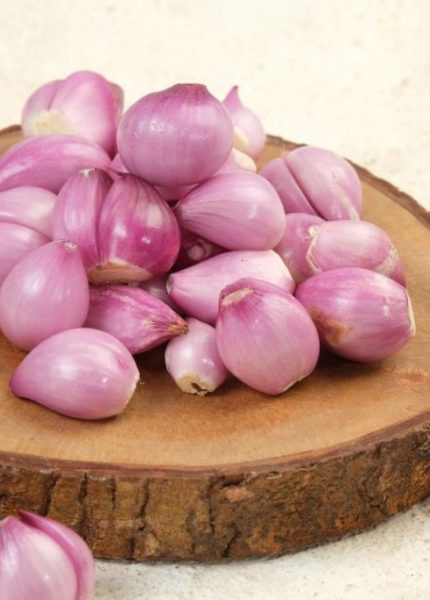 Keuntungan Pakai Mesin Iris Bawang Untuk Kerja Lebih Cepat