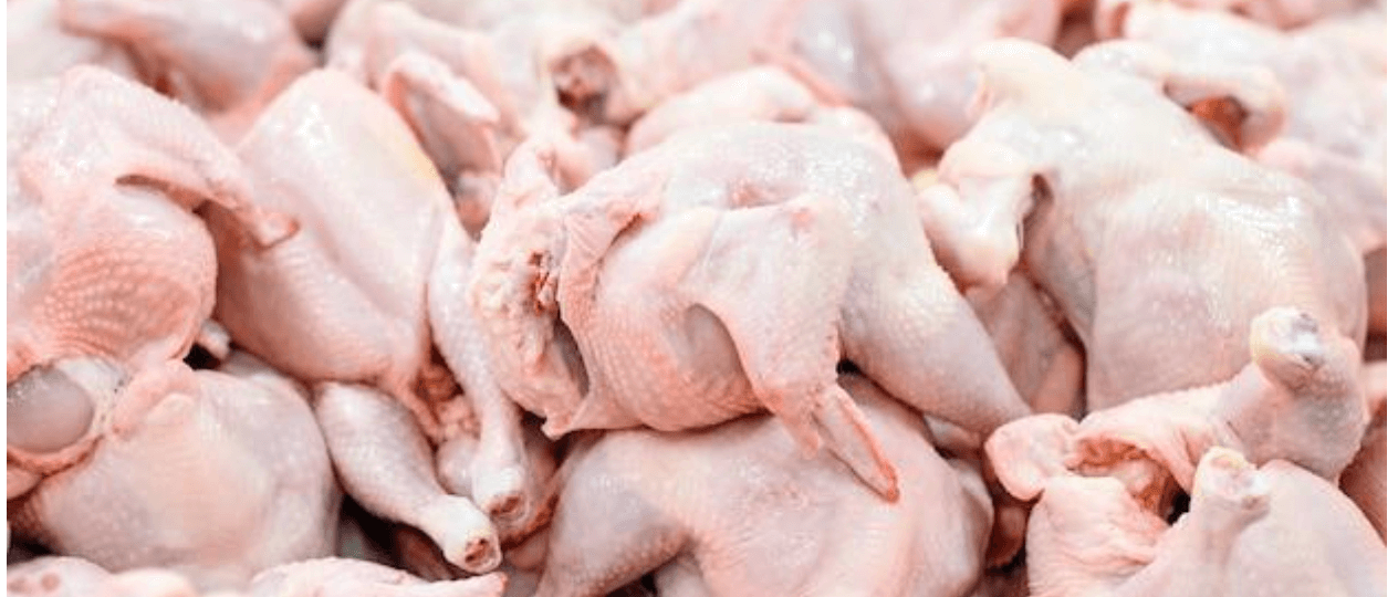 Cara Meningkatkan Produksi Ayam Potong Secara Efektif Dan Berkelanjutan