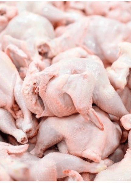 Cara Meningkatkan Produksi Ayam Potong Secara Efektif Dan Berkelanjutan