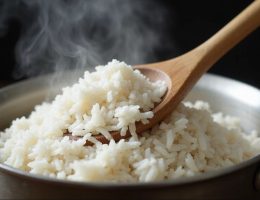 peralatan wajib dapur katering