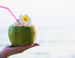 perlengkapan jualan es kelapa muda