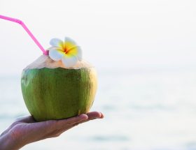 perlengkapan jualan es kelapa muda