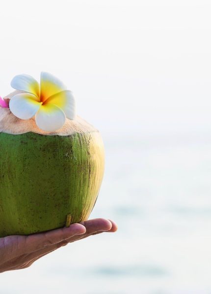 perlengkapan jualan es kelapa muda