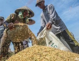 hasil panen lebih bersih