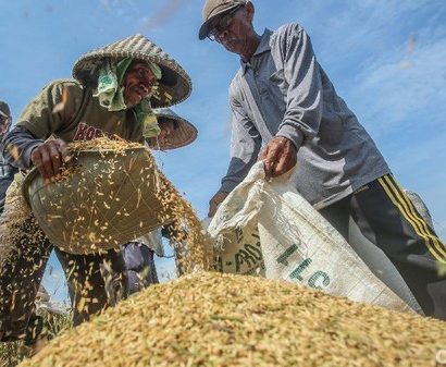 hasil panen lebih bersih