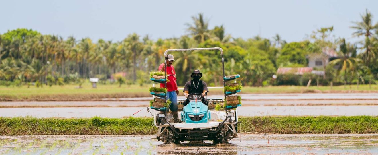 cara meningkatkan produktivitas dengan mesin tanam padi