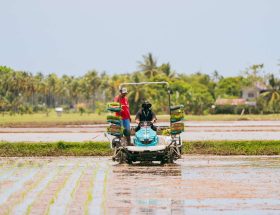 cara meningkatkan produktivitas dengan mesin tanam padi