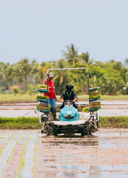 cara meningkatkan produktivitas dengan mesin tanam padi