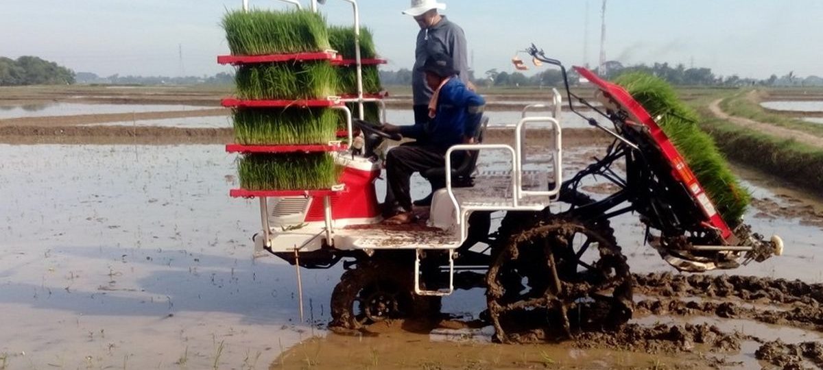 solusi mempercepat pekerjaan penanaman padi