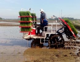 solusi mempercepat pekerjaan penanaman padi