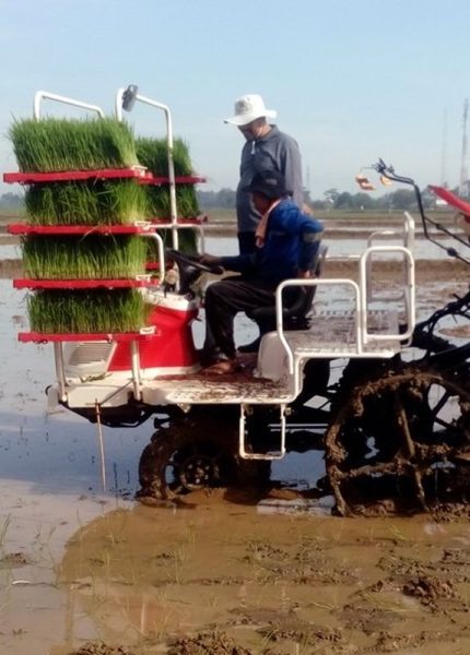 solusi mempercepat pekerjaan penanaman padi