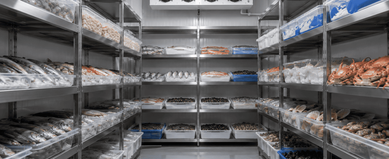 cold storage untuk ikan