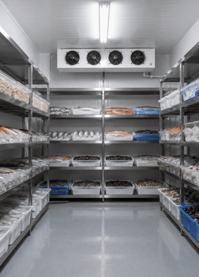 cold storage untuk ikan