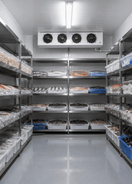 cold storage untuk ikan