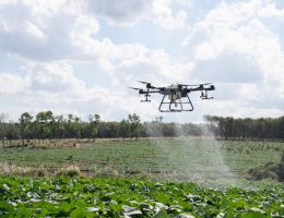 cara mengoptimalkan penyemprotan menggunakan drone