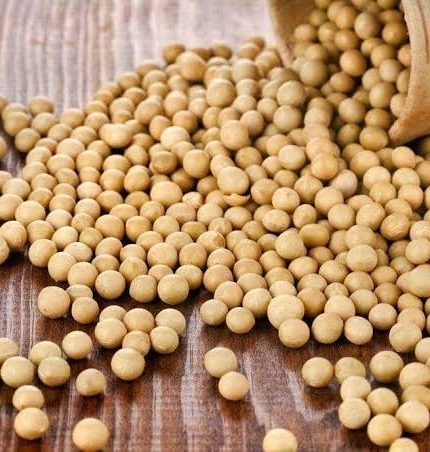ampas kedelai bisa dimanfaatkan