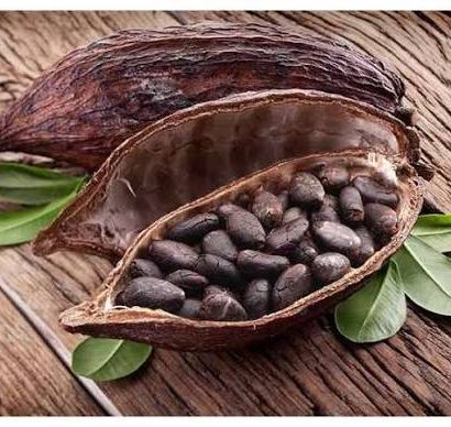 cara mengolah biji kakao menjadi cokelat