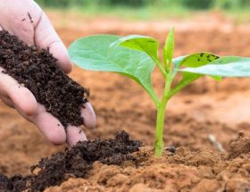 Meningkatkan Produksi Pupuk Kompos