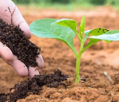 Meningkatkan Produksi Pupuk Kompos